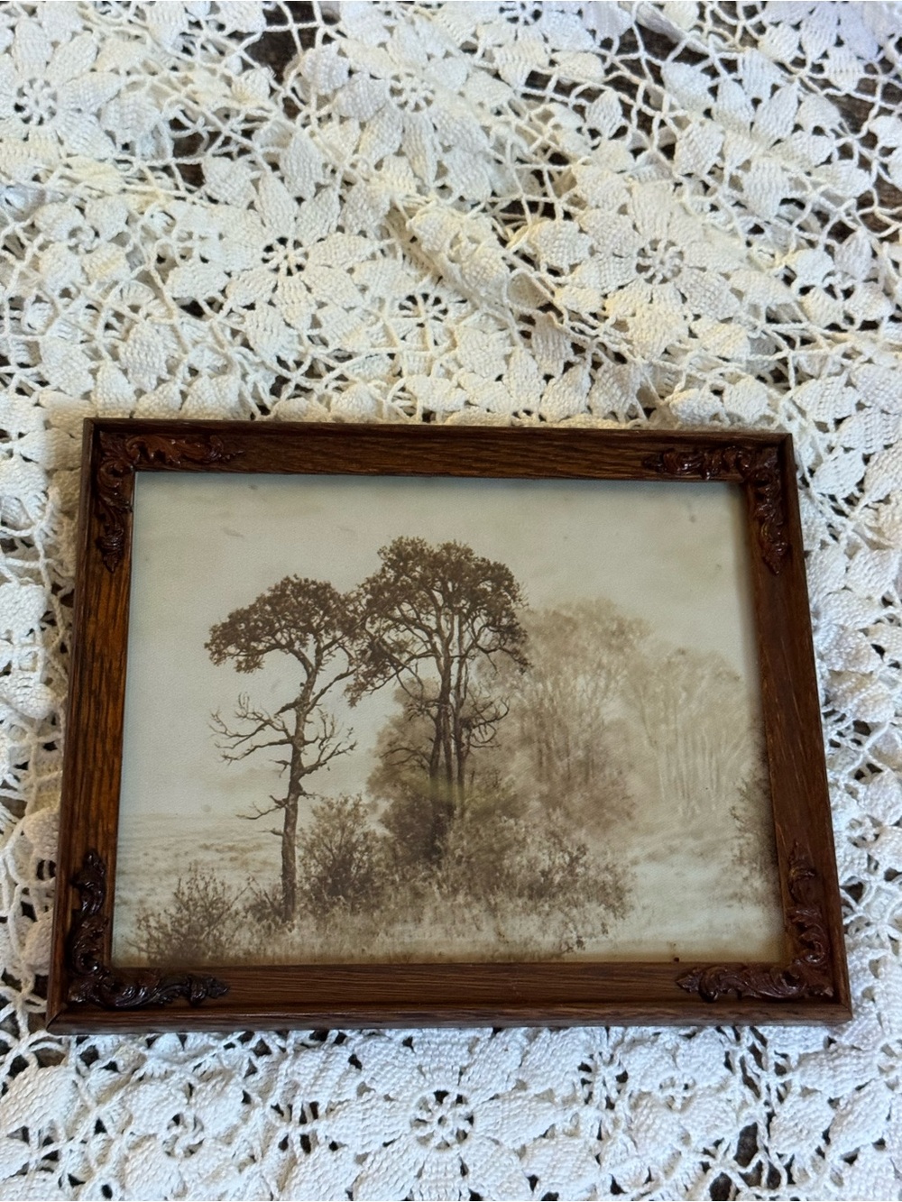 Vintage Wooden Frame Wall Art in Brown/ Sepia Landscape